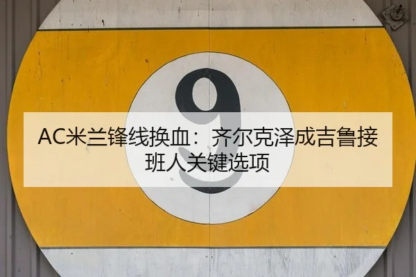 mi-lan-feng-xian-huan-xie-qi-er-ke-ze-cheng-ji-lu-jie-ban-ren-guan-jian-xuan-xiang-2-463.jpg